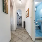 Rent 1 bedroom apartment in Florence