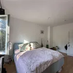 Rent 1 bedroom apartment of 57 m² in berlin