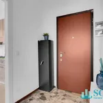 Rent 1 bedroom apartment of 45 m² in Sesto San Giovanni