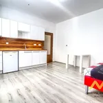 Rent 1 bedroom apartment in Pardubice