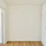 Miete 4 Schlafzimmer wohnung von 98 m² in Dresden