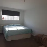 Rent 3 bedroom apartment in Mt Maunganui