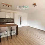 Rent 1 bedroom apartment of 40 m² in Plzeň