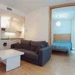 Rent 1 bedroom apartment of 30 m² in Madrid