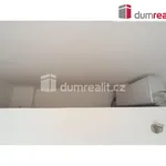 Rent 1 bedroom apartment of 25 m² in Prague