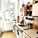 Rent 1 bedroom apartment of 30 m² in České Budějovice