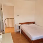 Rent 3 bedroom apartment in Wales