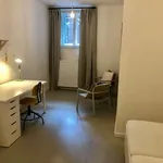 Pronajměte si pokoj o rozloze 86 m² v prague