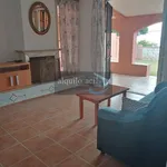 Rent 2 bedroom house of 431 m² in Malaga