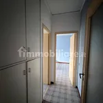 Rent 2 bedroom apartment of 60 m² in Palermo