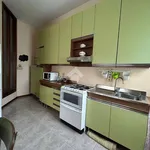 Rent 3 bedroom apartment of 85 m² in Pavia