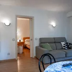 Rent 1 bedroom apartment in madrid