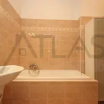 Rent 3 bedroom apartment of 160 m² in Prague