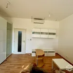 Rent 1 bedroom house in Brno