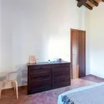 Rent 1 bedroom apartment in Rome