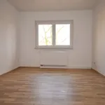 Rent 4 bedroom apartment of 120 m² in Chemnitz