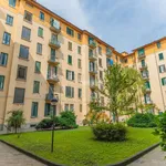 Rent 2 bedroom apartment of 53 m² in Milano