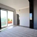 Rent 3 bedroom apartment in Toulouse