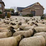 Huur 4 slaapkamer huis van 218 m² in Klimmen