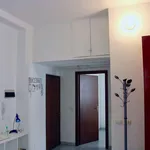 Rent 1 bedroom apartment in Milan