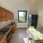 Rent 5 bedroom apartment of 85 m² in Assisi