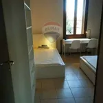 Rent 4 bedroom apartment of 110 m² in Bologna