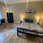 Pronajměte si 1 ložnic/e byt o rozloze 35 m² v Prague