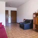 Rent a room of 120 m² in rome