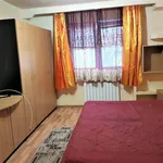 Rent 1 bedroom apartment of 21 m² in Timisoara