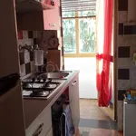 Rent 5 bedroom apartment of 150 m² in Rovigo