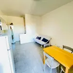 Rent 1 bedroom apartment of 40 m² in Milan