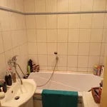 Rent 1 bedroom apartment in Děčín