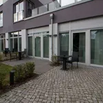 Rent 1 bedroom apartment of 46 m² in berlin