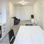 Rent 3 bedroom apartment of 80 m² in Mondolfo