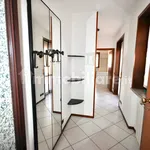 Rent 1 bedroom apartment of 30 m² in Novara