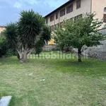 Rent 3 bedroom house of 85 m² in Pisa