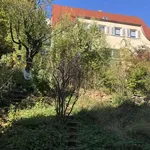 Rent 4 bedroom apartment of 100 m² in Stuttgart