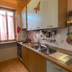 Rent 3 bedroom apartment of 85 m² in Torino