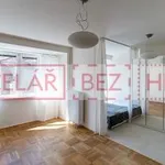 Rent 1 bedroom apartment of 38 m² in Brno