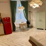 Rent 1 bedroom apartment of 33 m² in Trhový Štěpánov