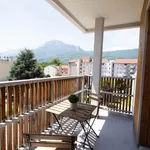 Rent 4 bedroom apartment in Grenoble