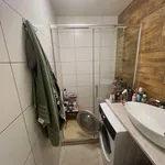 Rent 2 bedroom apartment in Praha 4