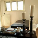 Rent 1 bedroom apartment of 60 m² in milan