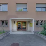 Rent 4 bedroom apartment of 97 m² in Basel