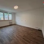 Rent 1 bedroom apartment in Karlovy Vary