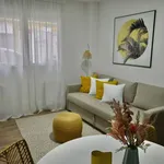 Rent 1 bedroom apartment of 35 m² in Madrid