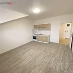 Rent 3 bedroom apartment of 88 m² in Ivanovice na Hané