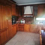 Rent 4 bedroom apartment of 120 m² in Paruzzaro