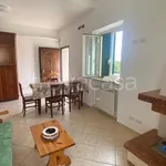 Rent 3 bedroom apartment of 66 m² in Zagarolo