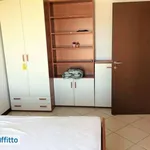 Rent 3 bedroom apartment of 80 m² in Chieti